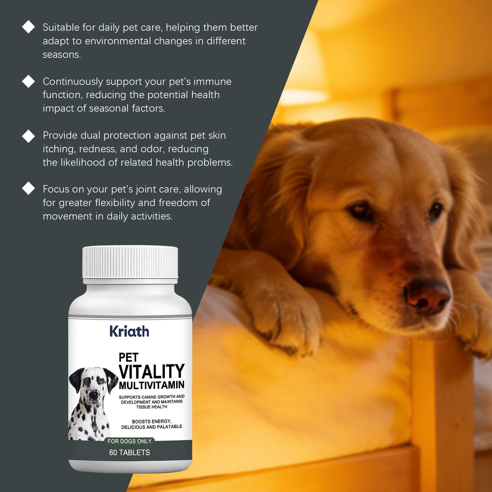 Interactieve Snuffelmat voor Honden - thumbnail 2