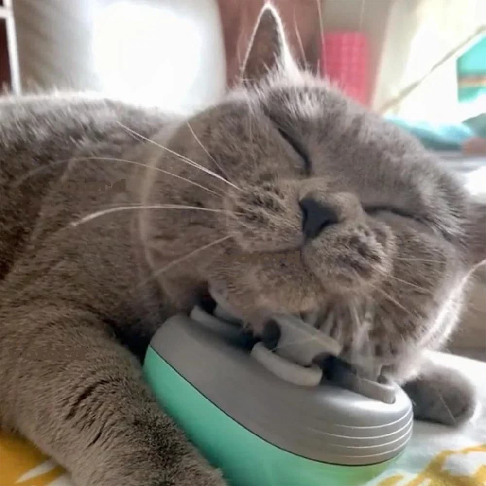 Electric Cat Massager — Pure Relaxation