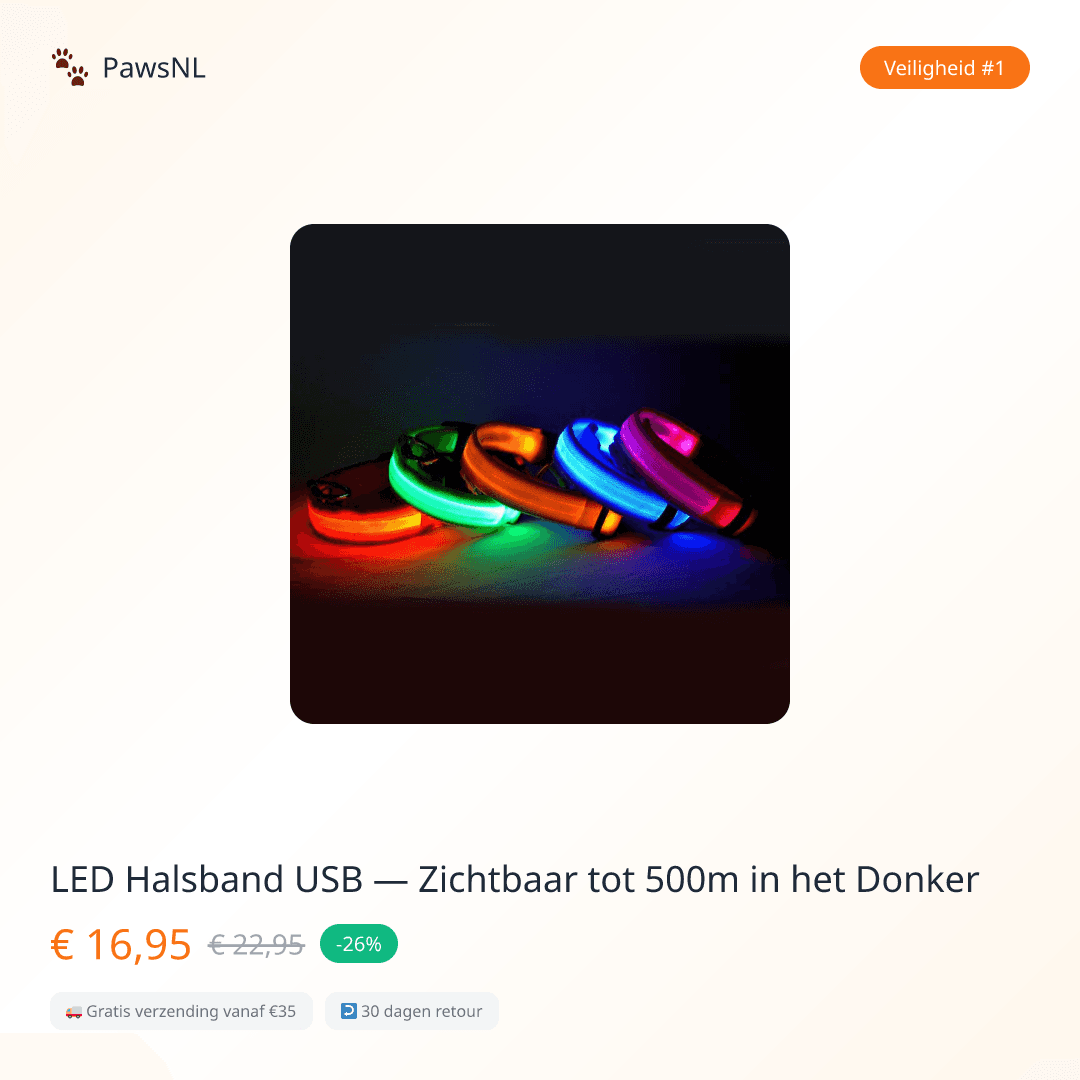 LED Dog Collar USB — Visible Up to 500m in the Dark